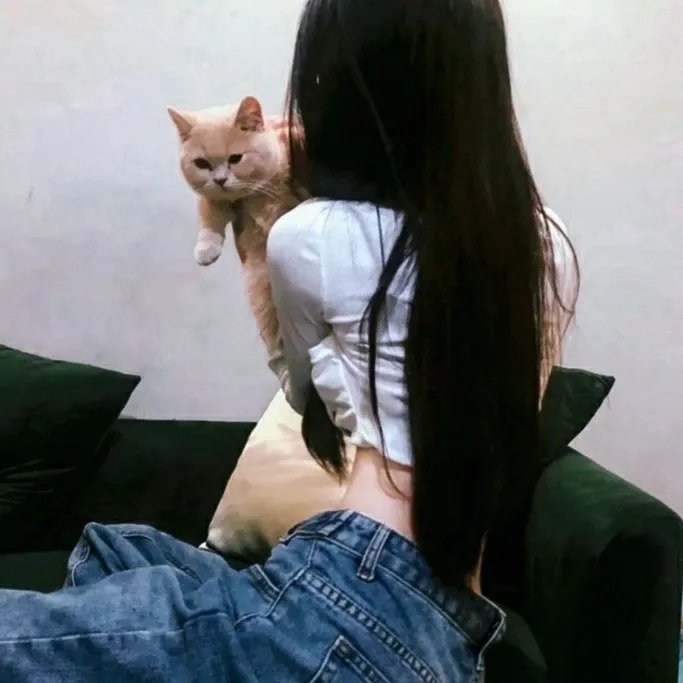 急急复鸡鸡
